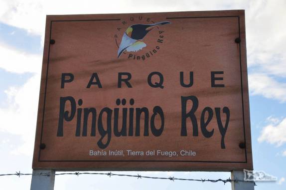 Pinguinera na Terra do Fogo, no sul do Chile